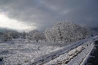稲荷山側の千曲川堤防道路の雪景色