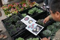 稲荷山さんま祭り まちの学校準備室