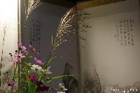 薄を活ける 第3回 稲荷山歳時記　月の宴 in 蔵し館