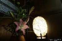 薄を活ける 第3回 稲荷山歳時記　月の宴 in 蔵し館