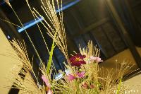 薄を活ける 第3回 稲荷山歳時記　月の宴 in 蔵し館