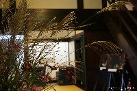 薄を活ける 第3回 稲荷山歳時記　月の宴 in 蔵し館