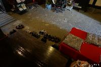 月にまつわる名場面　「釈迦涅槃図」 第3回 稲荷山歳時記　月の宴 in 蔵し館　第32回 信州さらしな おばすて観月祭