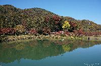 治田公園 紅葉