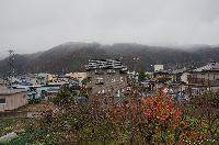 柿の木と柿の実と山の頂の雪