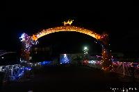 イルミネーション