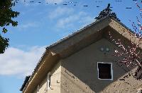 稲荷山ではあんずの花が咲き始めました