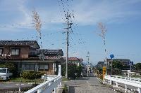 稲荷山町祇園祭 結界の斎竹(いつきたけ) みことばし