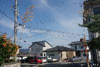 稲荷山町祇園祭 結界の斎竹(いつきたけ)
