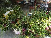 稲荷山町 お花市 準備まちの学校