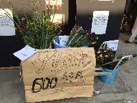 稲荷山町 お花市 5時までタイムセール