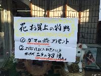 稲荷山町 お花市 まちの学校 花お買い上げの特典