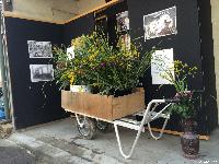 稲荷山町 お盆の花売り まちの学校