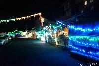 イルミネーション