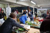 八の市 稲荷山 第11回