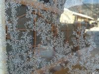 極寒の朝 稲荷山まち歩き情報センター