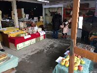 八の市 稲荷山 第12回